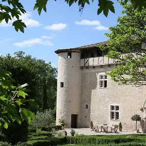 Hébergement de vacances Château De Mayragues, Castelnau-de-Montmiral